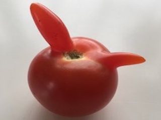 Burleske Tomate