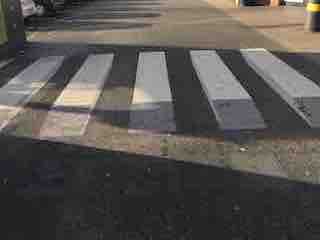Zebras