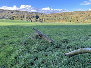 Fingerzeig