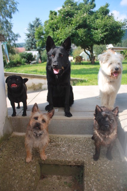 Leckerlieausgabestelle